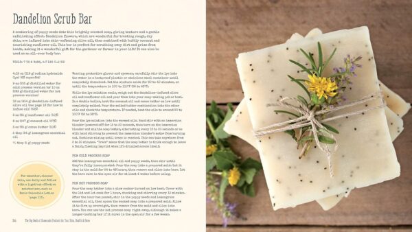 The Big Book of Homemade Products for Your Skin, Health and Home: Easy, All-Natural DIY Projects Using Herbs, Flowers and Other Plants Paperback - Image 3